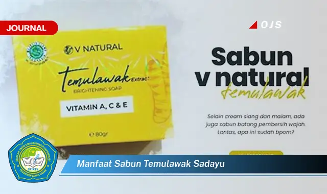 manfaat sabun temulawak sadayu manfaat sabun temulawak sadayu