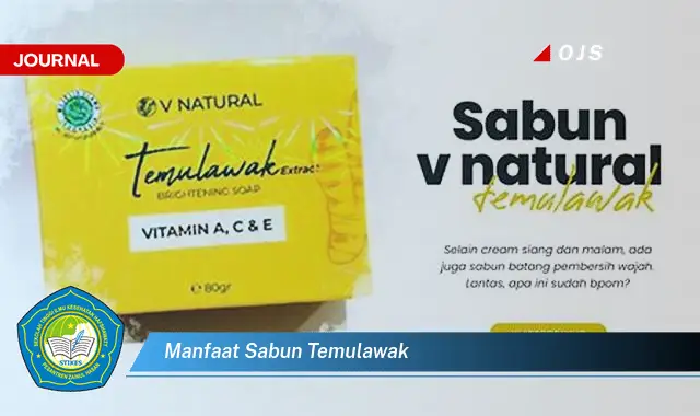 manfaat sabun temulawak