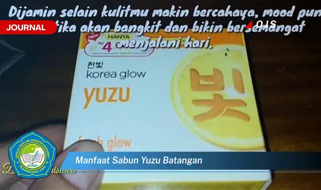 manfaat sabun yuzu batangan