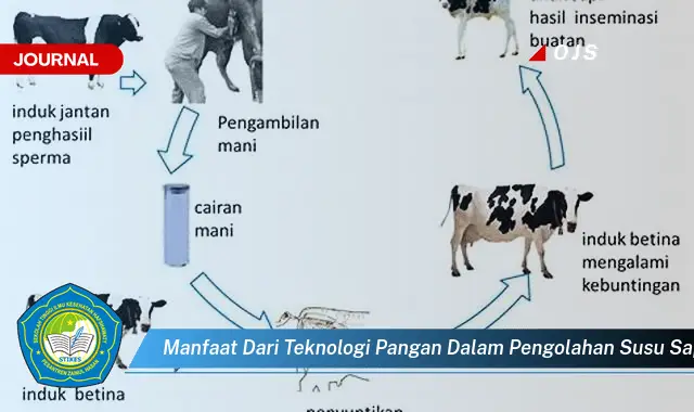 manfaat dari teknologi pangan dalam pengolahan susu sapi