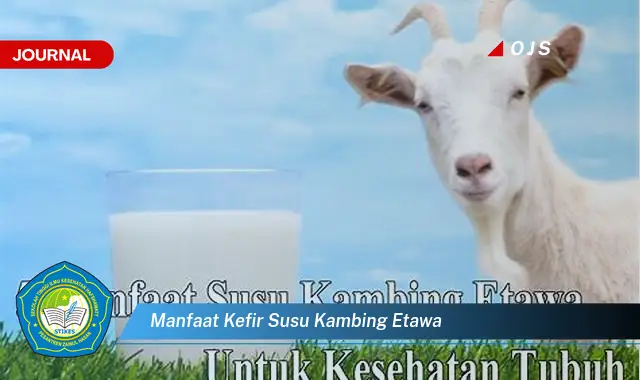 manfaat kefir susu kambing etawa