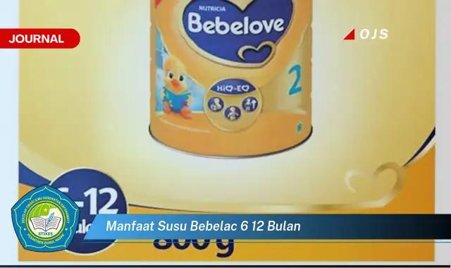 manfaat susu bebelac 6 12 bulan