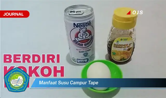 manfaat susu campur tape