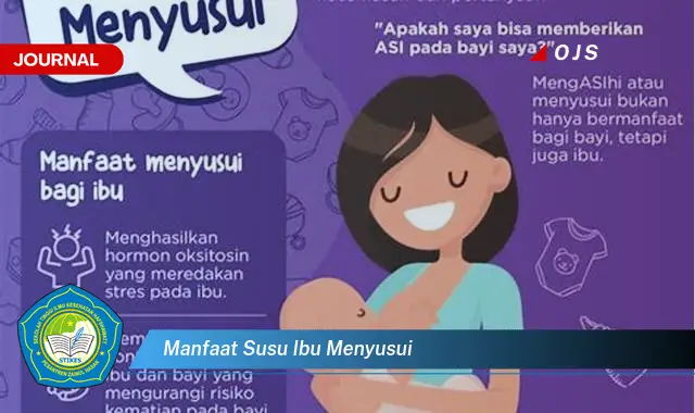 manfaat susu ibu menyusui