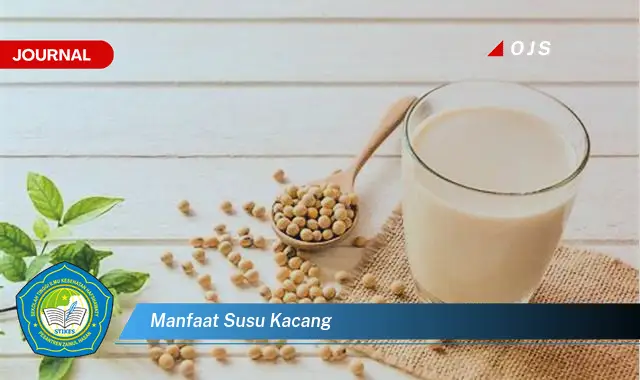 manfaat susu kacang