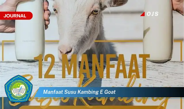 manfaat susu kambing e goat manfaat susu kambing e goat