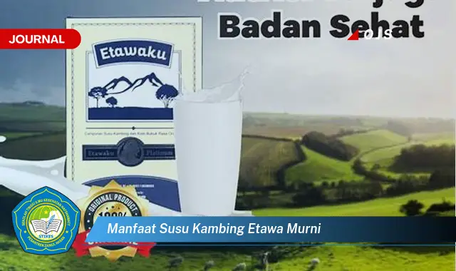 manfaat susu kambing etawa murni