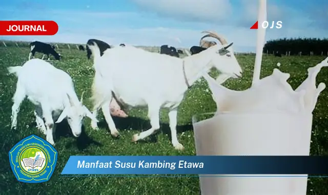 manfaat susu kambing etawa