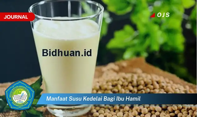 Intip 6 Manfaat Susu Kedelai yang Bikin Ibu Hamil Penasaran - E-Journal