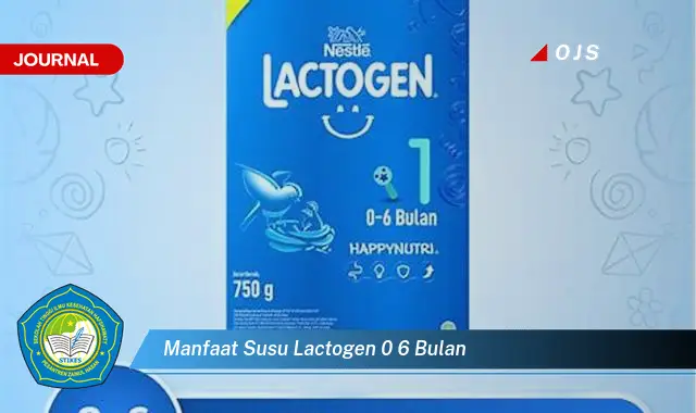 manfaat susu lactogen 0 6 bulan