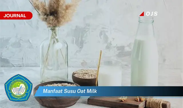 manfaat susu oat milk