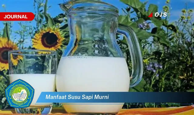 manfaat susu sapi murni manfaat susu sapi murni