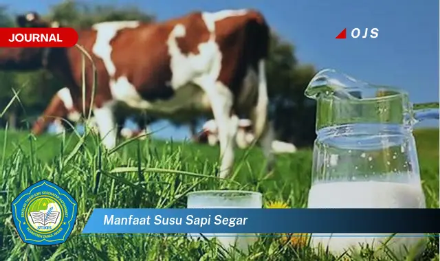 manfaat susu sapi segar