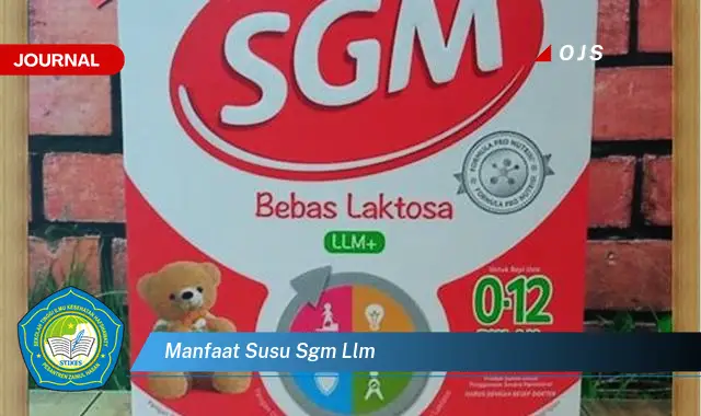 manfaat susu sgm llm