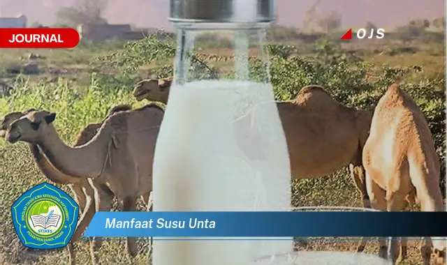 manfaat susu unta manfaat susu unta