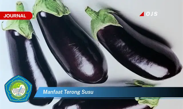 manfaat terong susu manfaat terong susu