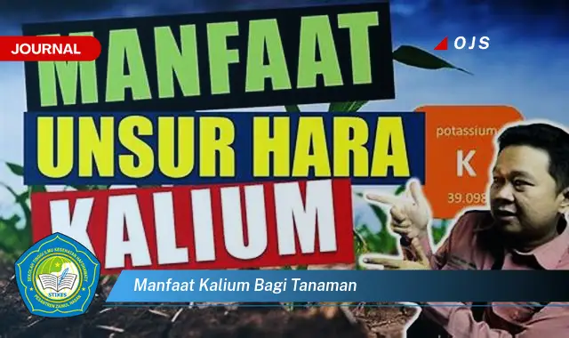 manfaat kalium bagi tanaman manfaat kalium bagi tanaman