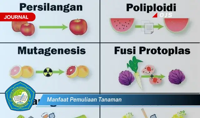 manfaat pemuliaan tanaman manfaat pemuliaan tanaman