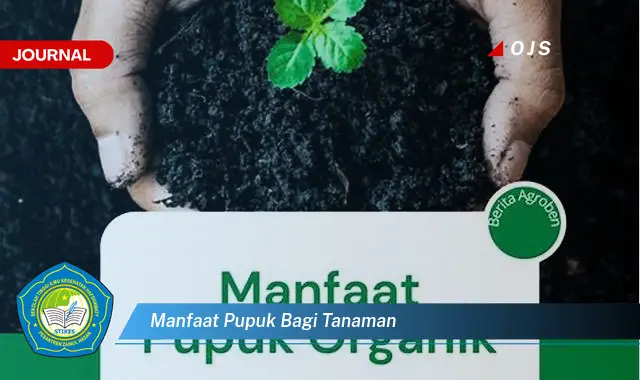 manfaat pupuk bagi tanaman