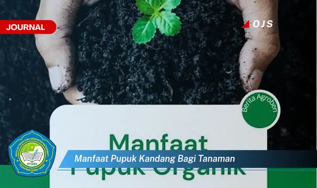 manfaat pupuk kandang bagi tanaman manfaat pupuk kandang bagi tanaman