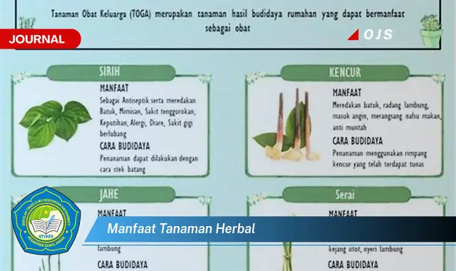 manfaat tanaman herbal