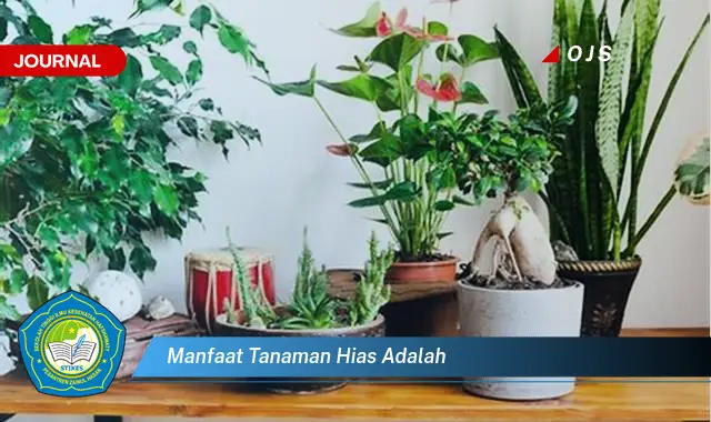 manfaat tanaman hias adalah