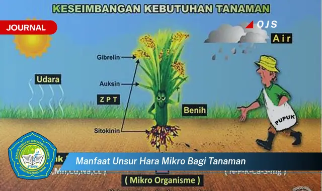manfaat unsur hara mikro bagi tanaman manfaat unsur hara mikro bagi tanaman