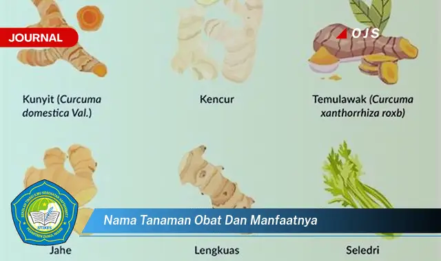 nama tanaman obat dan manfaatnya