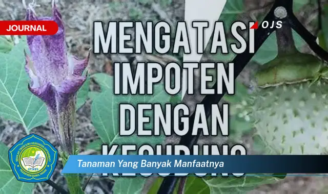 tanaman yang banyak manfaatnya