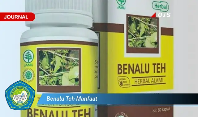 benalu teh manfaat