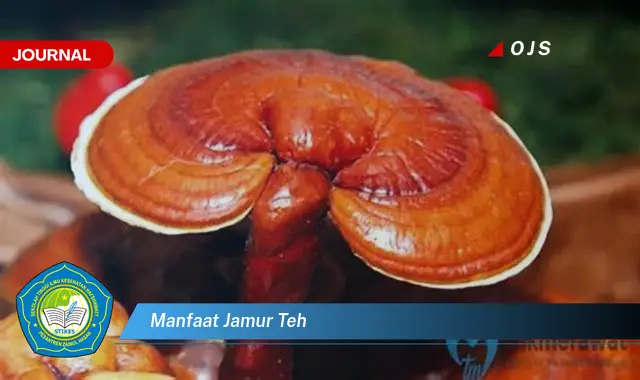 manfaat jamur teh