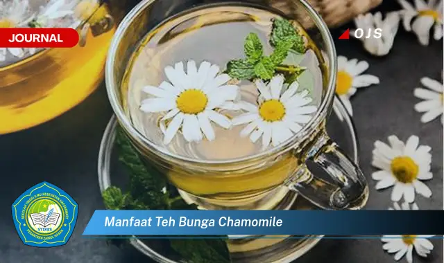 manfaat teh bunga chamomile