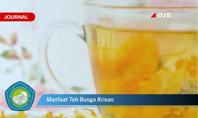 manfaat teh bunga krisan