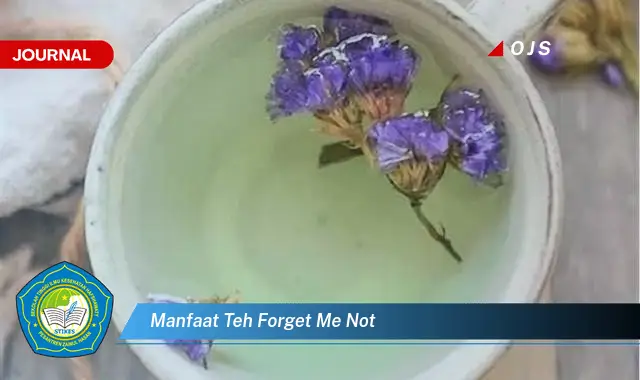 Kamu Wajib Tahu, 10 Manfaat Teh Forget Me Not yang Bikin Penasaran