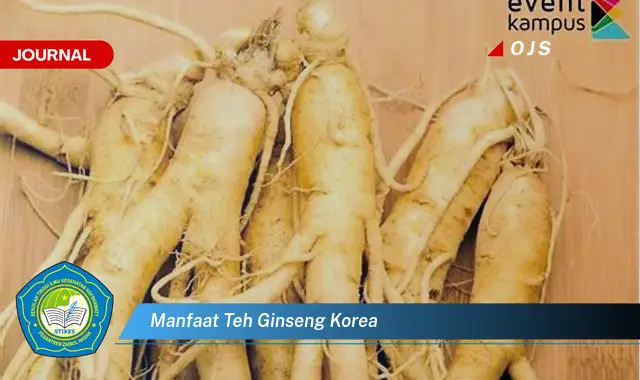 Temukan 6 Manfaat Teh Ginseng Korea yang Bikin Kamu Penasaran - E-Journal