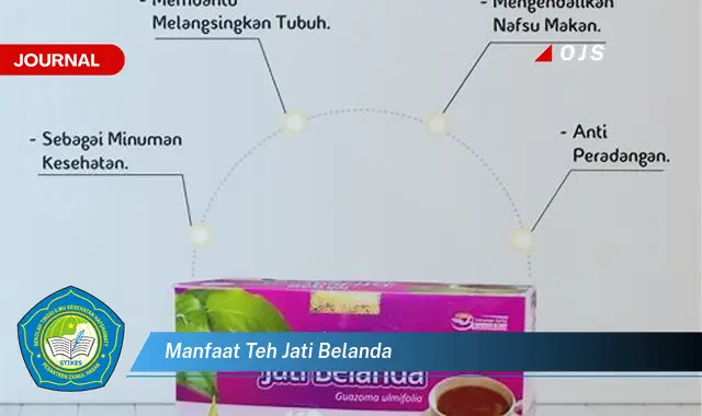 manfaat teh jati belanda