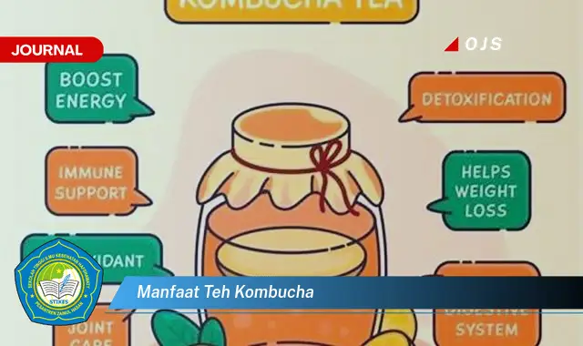 manfaat teh kombucha manfaat teh kombucha