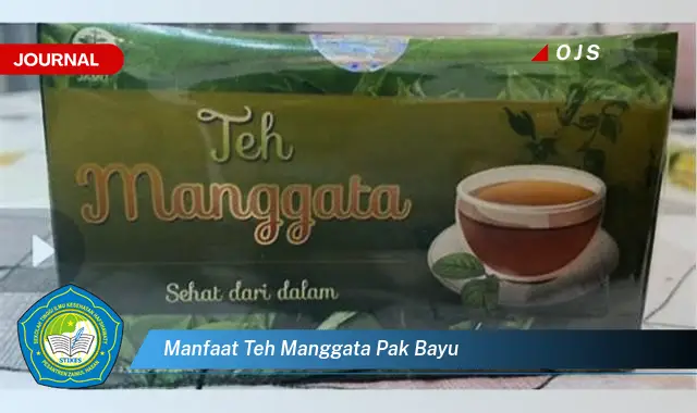 manfaat teh manggata pak bayu