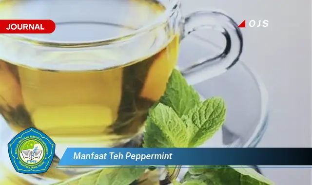 manfaat teh peppermint