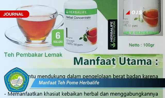 manfaat teh pome herbalife