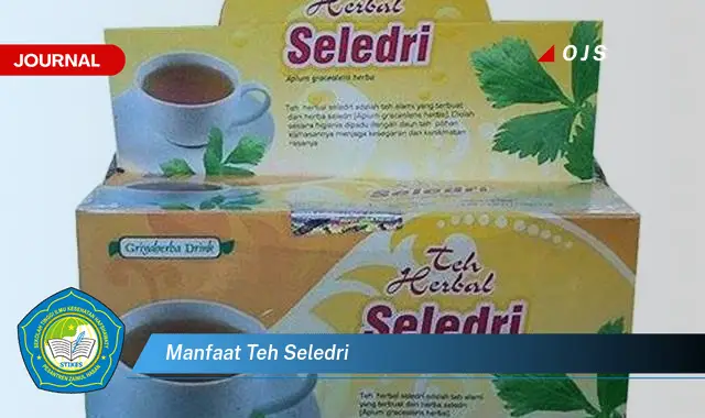 manfaat teh seledri