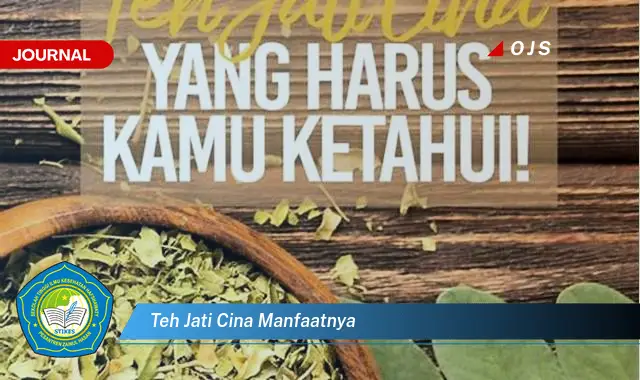 teh jati cina manfaatnya