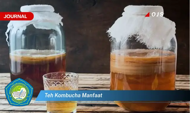 teh kombucha manfaat