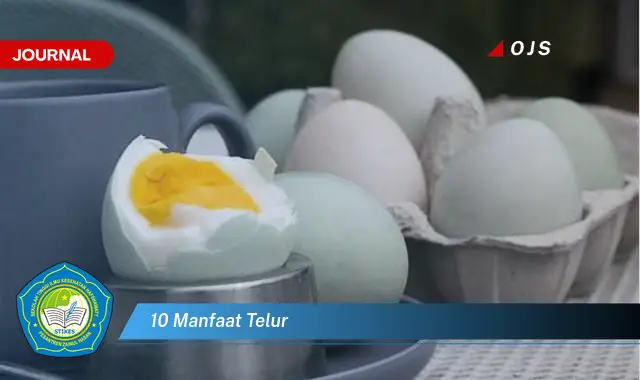 10 manfaat telur 10 manfaat telur