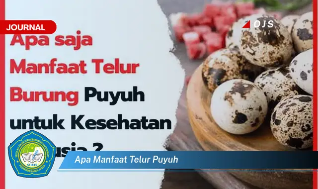 apa manfaat telur puyuh