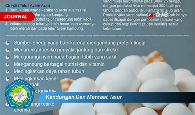 kandungan dan manfaat telur