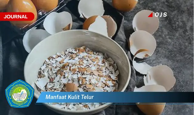 manfaat kulit telur