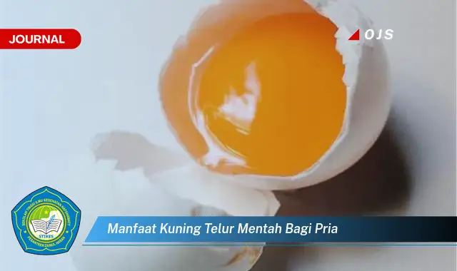 manfaat kuning telur mentah bagi pria