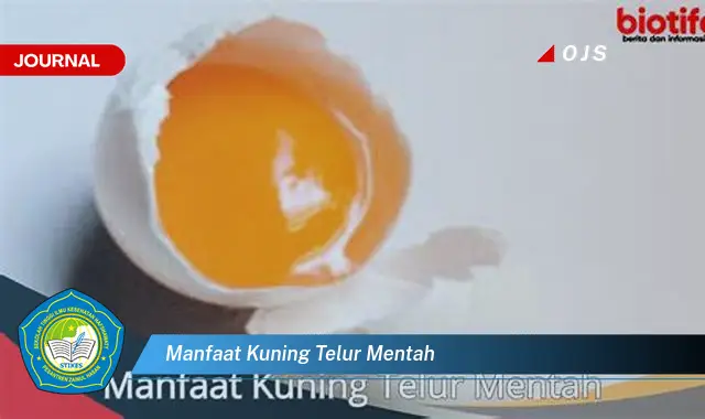 manfaat kuning telur mentah