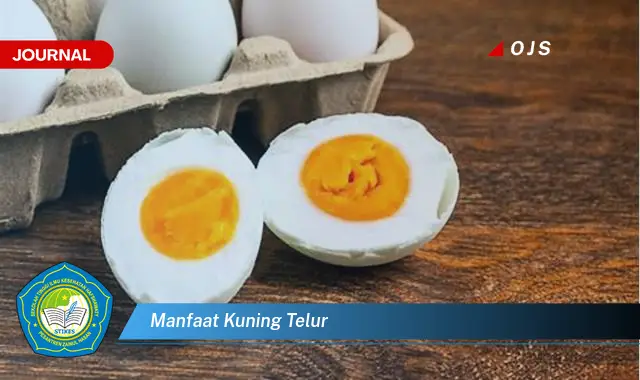 manfaat kuning telur